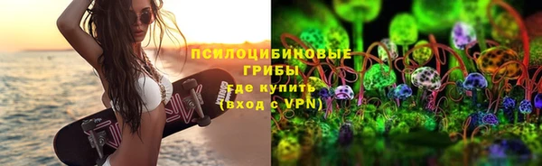 дурь Бородино