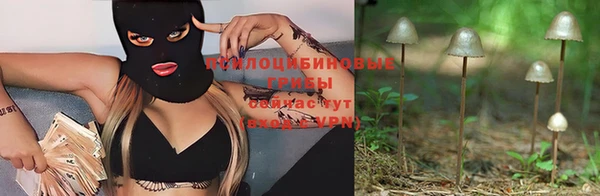 дурь Бородино