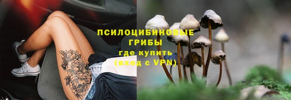 дживик Бугульма