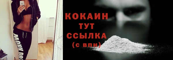 дурь Бородино