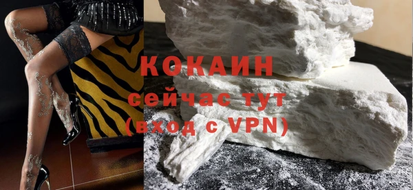 дурь Бородино