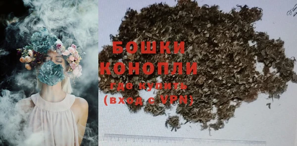 дурь Бородино