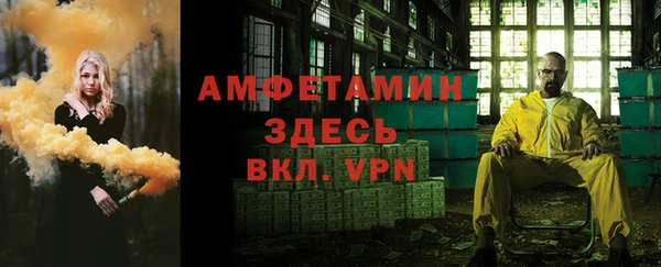 дурь Бородино